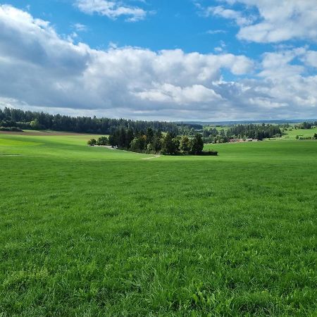 Modern Eingerichtete 3-Zi-Ferienwohnung Zu Vermieten Löffingen Eksteriør bilde