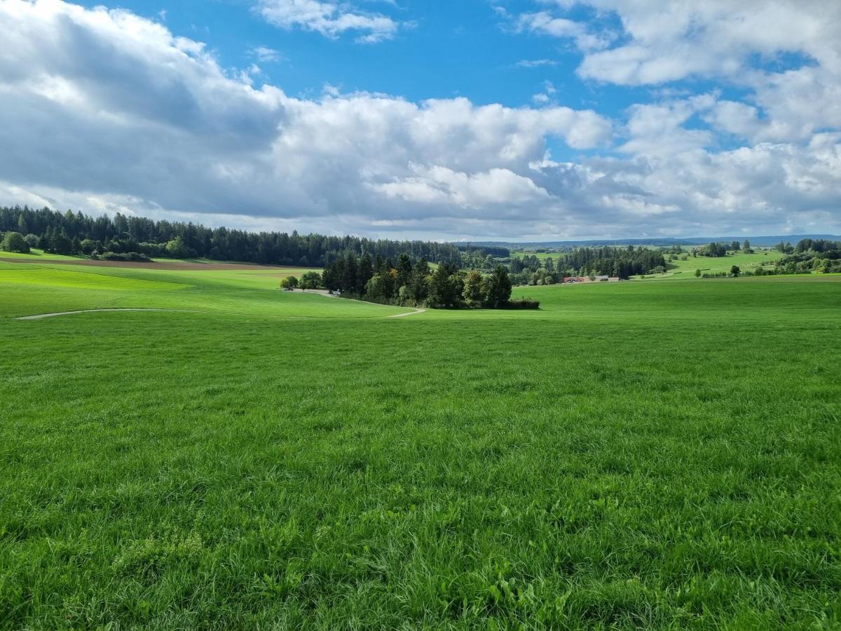 Modern Eingerichtete 3-Zi-Ferienwohnung Zu Vermieten Löffingen Eksteriør bilde